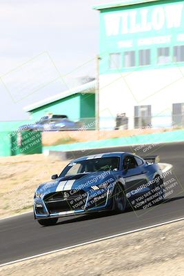 media/Oct-01-2023-VIP Trackdays (Sun) [[8c13cf1485]]/A Group/session 1 turn 4b/